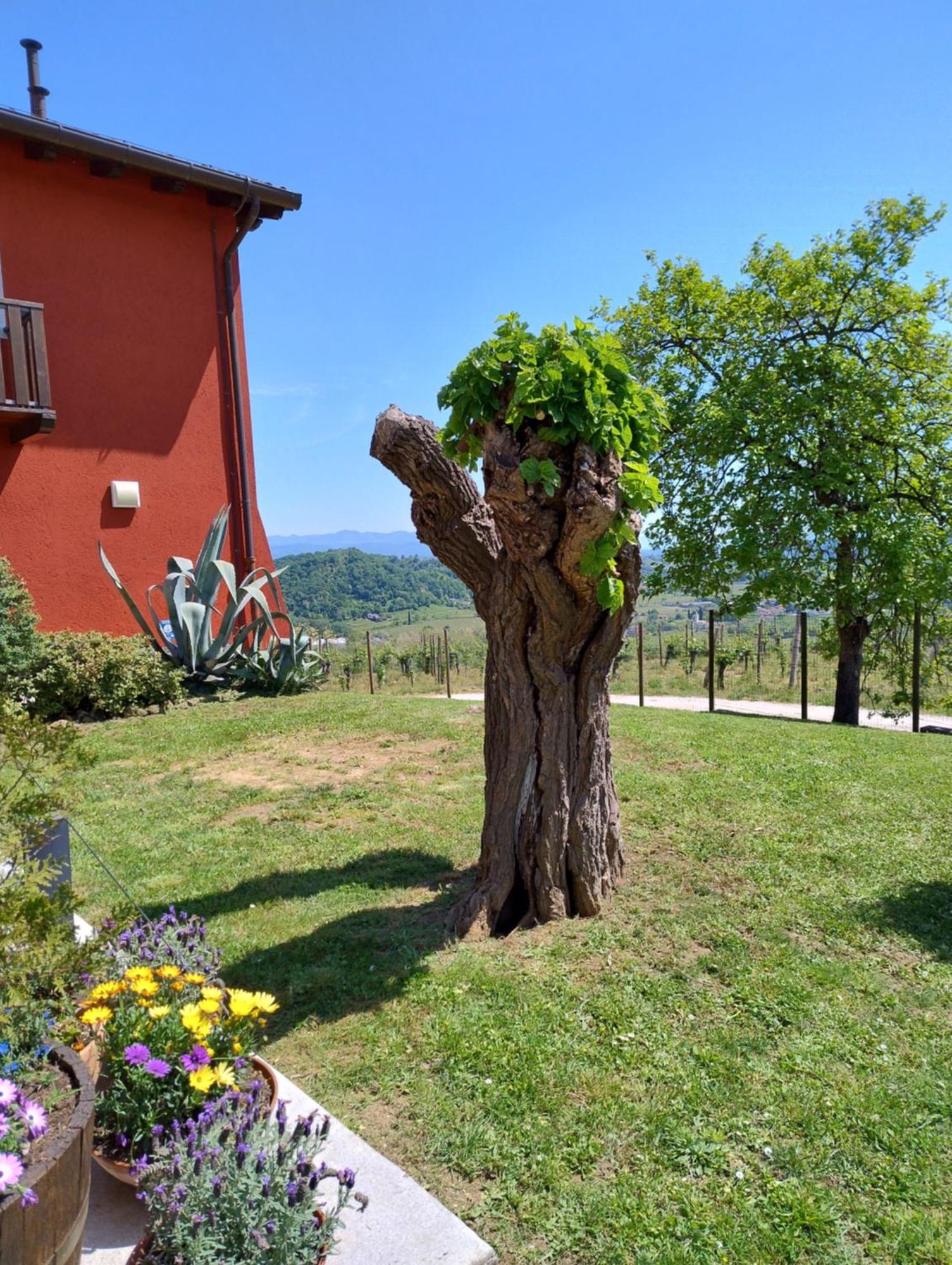 Le Badie Wine Resort Rosazzo Exterior photo