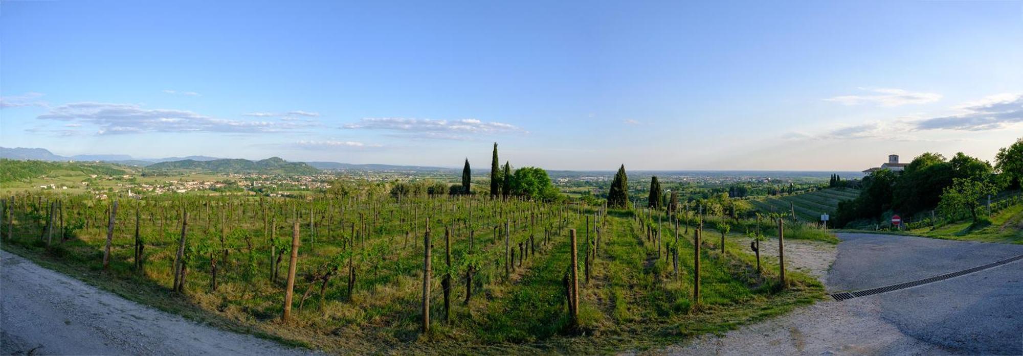Le Badie Wine Resort Rosazzo Exterior photo